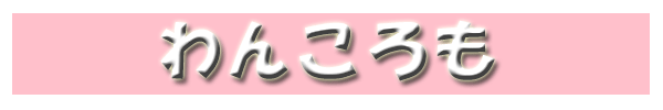 わんころも